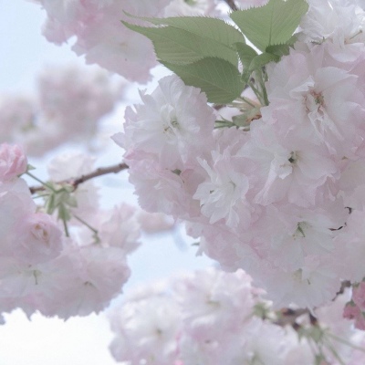 南山FurryQQ群介绍